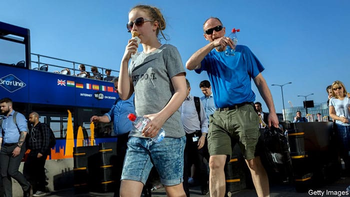 Bulk Bermuda shorts (1)